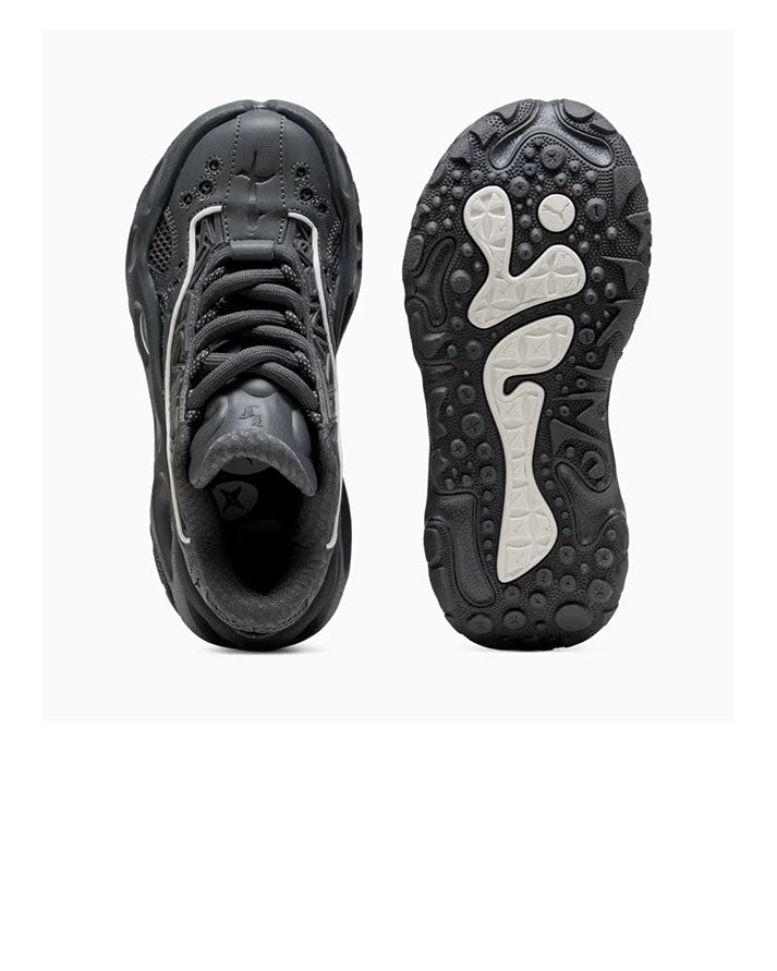 Puma LaFrance RNR  (GS)<BR/> 