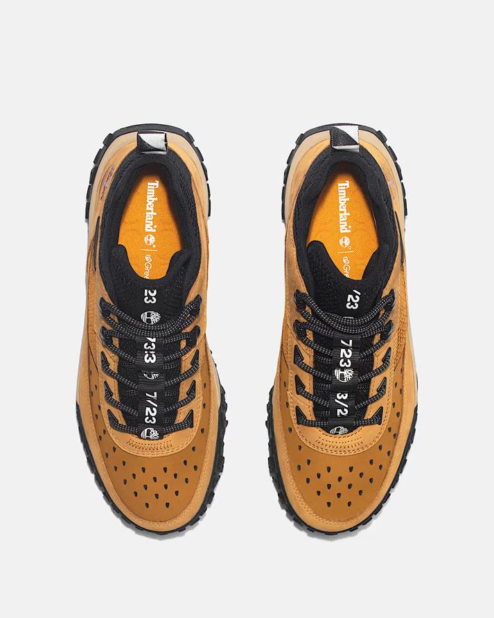 Timberland  lace sneaker wheat TB0A5TPC2311MASS TIMBERLAND